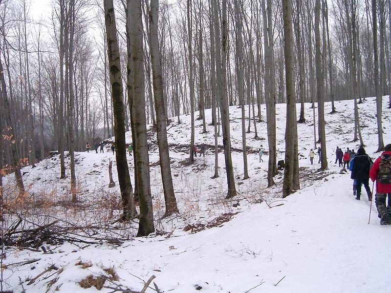 20110219 029.jpg